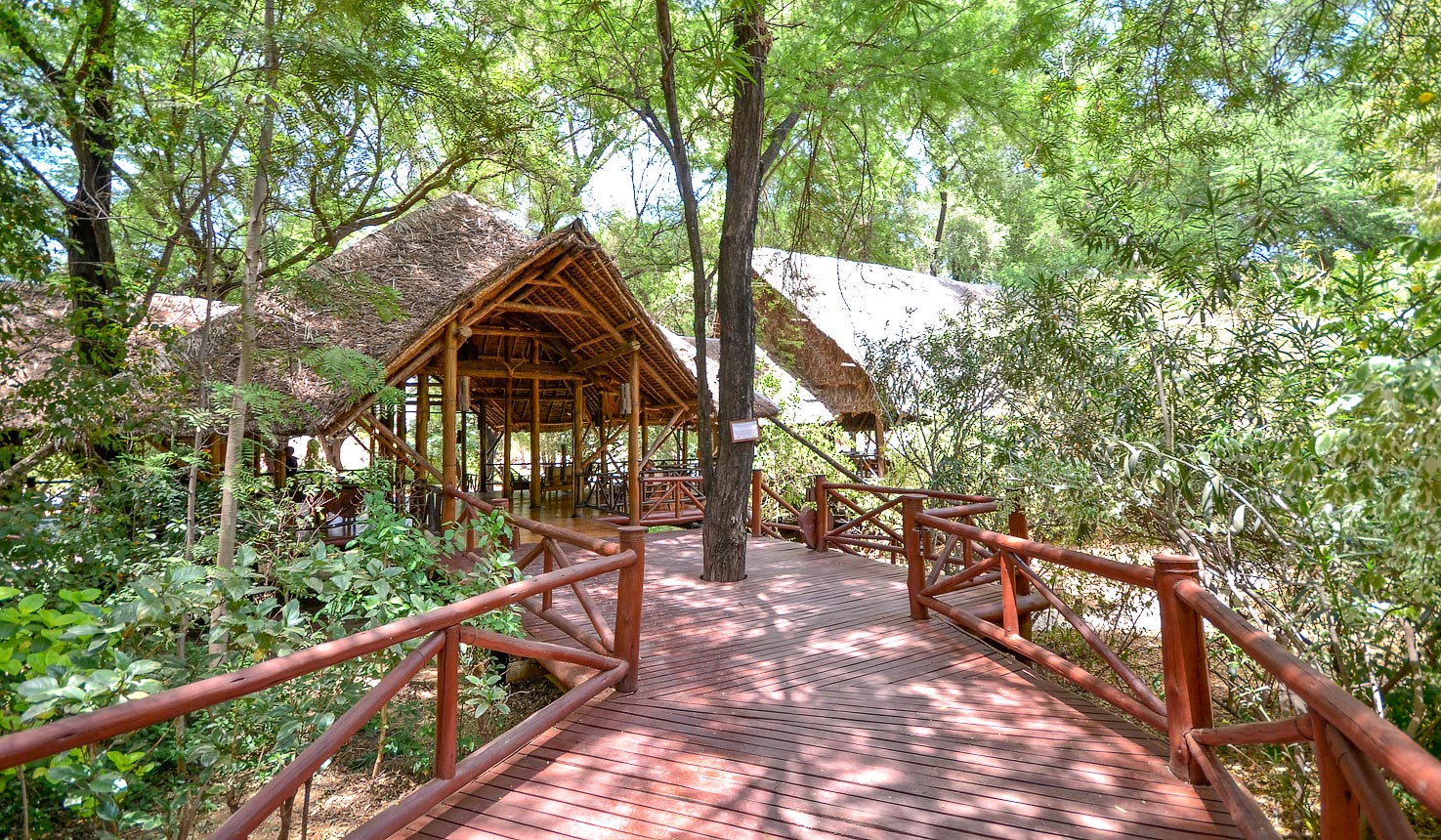 Samburu Intrepids Tented Camp